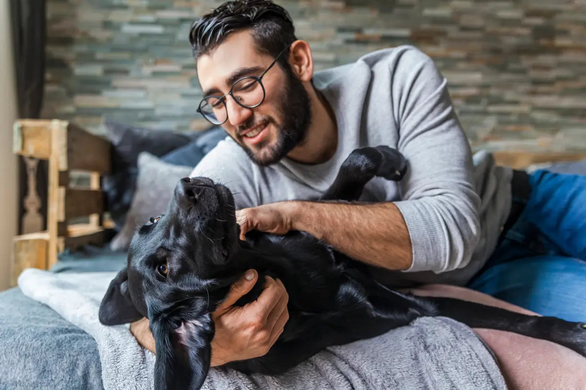 files/men-dogs-settle-down-06.webp